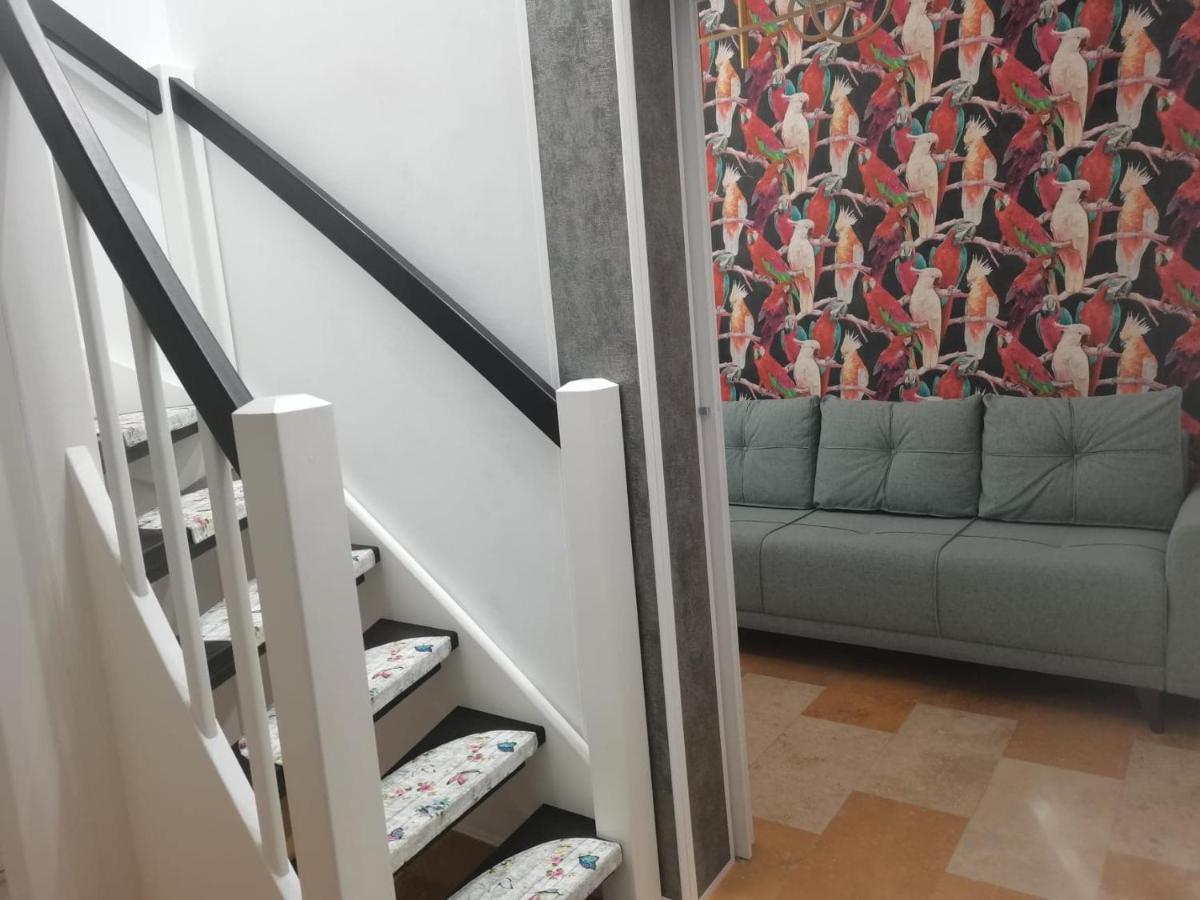 Cezari Aparthotel Braşov Dış mekan fotoğraf
